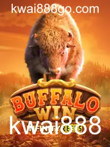 Descubra o Mundo Fascinante de BuffaloWin no kwai888